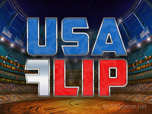 USA Flip